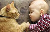 Малыш и кошка в доме