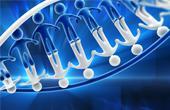 ДНК анализ на отцовство: забудьте о сомнениях