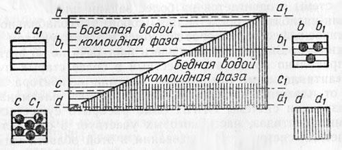 Структурная схема основного вещества (по Gersh и Catchpole, 1960)