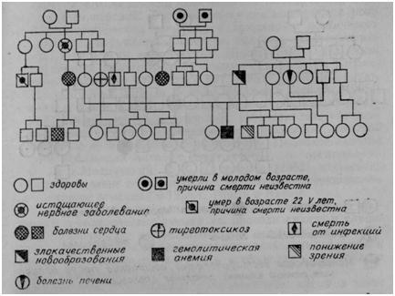 Родословная Юры П, 8 лет.