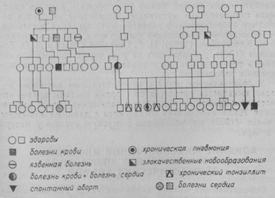 Родословная Кости Б.