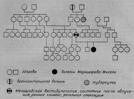 Родословная Виктории К., 12 лет.